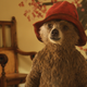 Paddington (Image: The Weinstein Company)